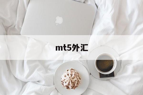 mt5外汇(MT5外汇交易时间)