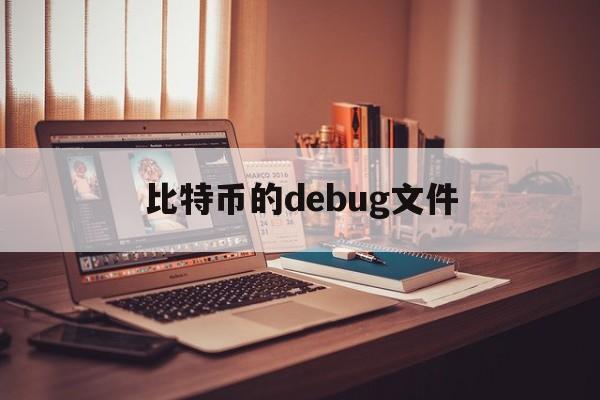 包含比特币的debug文件的词条